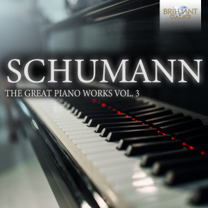 Schumann: The Great Piano Works, Vol. 3